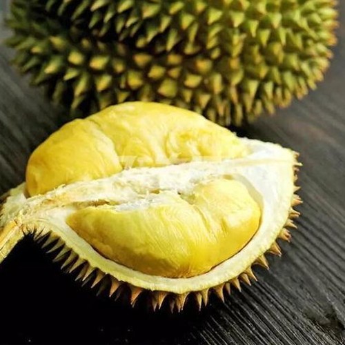 娱乐圈热点黑料揭秘:杨颖与李小璐的星途与争议