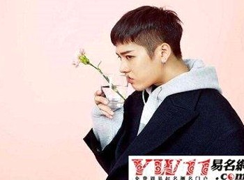 从王一博微博到娱乐吃瓜酱：娱乐圈的理性观察与互动新风尚