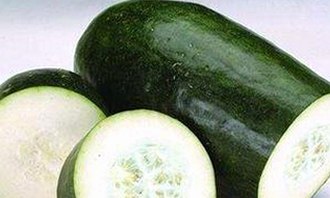 警花张津瑜3P落地窗事件全解析,背后真相曝光